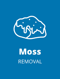 moss removal